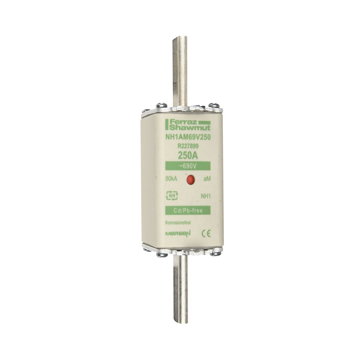 R227899 - NH fuse-link aM, 690VAC, size 1, 250A double indicator/live tags